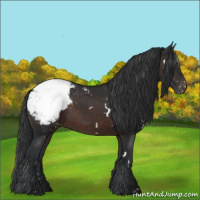 Horse Color:White Spotted Brown Snowcap 
