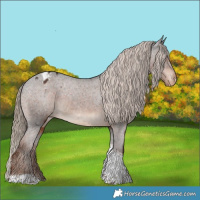 Horse Color:Liver Chestnut Tobiano Varnish 