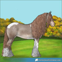 Horse Color:Liver Red Dun Tobiano Appaloosa Brindle 