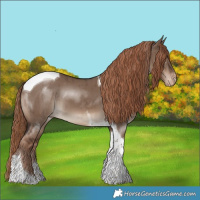 Horse Color:Liver Red Dun Tobiano Appaloosa Brindle 
