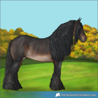Horse Color:Brown Rabicano 