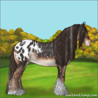 Horse Color:Liver Chestnut Tobiano Appaloosa Rabicano