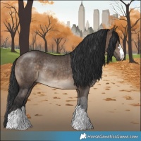Horse Color:Brown Dun Rabicano Brindle 