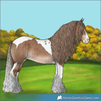 Horse Color:Liver Red Dun Splash Tobiano Brindle 