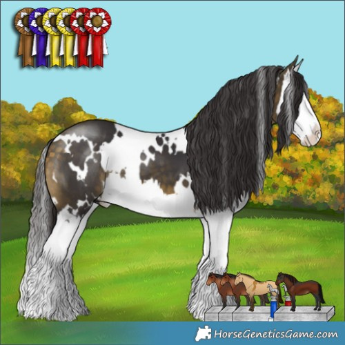 Horse Color:White Spotted Buckskin Splash 