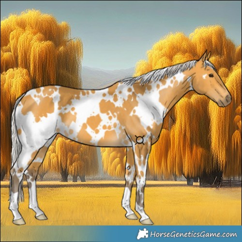 Horse Color:White Spotted Silver Buckskin 