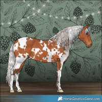 Horse Color:White Spotted Silver Bay 