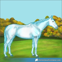 Horse Color:Gray Thunderstruck Red Dun 