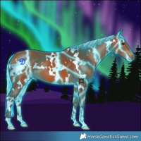 Horse Color:Thunderstruck White Spotted Silver Bay 