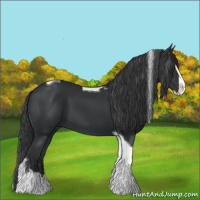 Horse Color:Black Splash Tobiano 