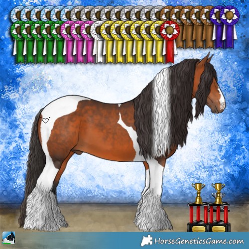 Horse Color:Bay Tobiano 