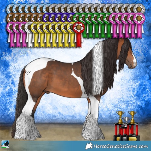 Horse Color:Bay Tobiano 