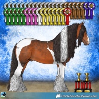 Horse Color:Bay Tobiano