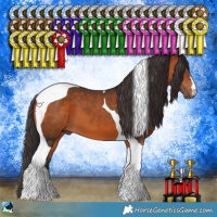 Horse Color:Bay Tobiano