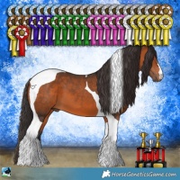 Horse Color:Bay Tobiano