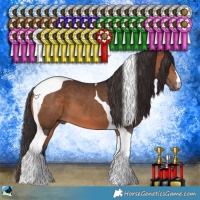 Horse Color:Bay Tobiano 