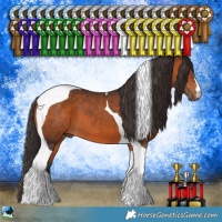 Horse Color:Bay Tobiano