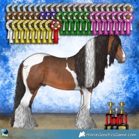 Horse Color:Bay Tobiano 