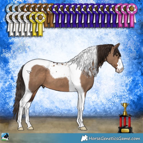 Horse Color:Liver Red Dun Tobiano 