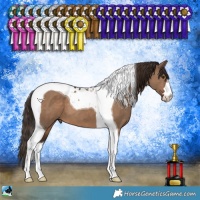 Horse Color:Liver Red Dun Tobiano 