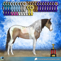 Horse Color:Liver Red Dun Tobiano