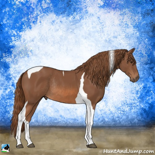 Horse Color:Chestnut Tobiano Rabicano 