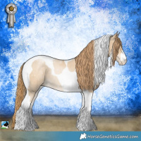 Horse Color:Smoky Black Pearl Mushroom Tobiano 