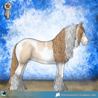 Horse Color:Smoky Black Pearl Mushroom Tobiano 