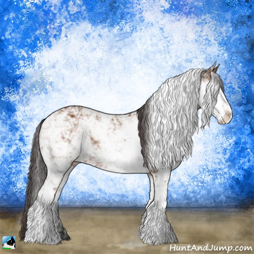 Horse Color:Buckskin Sabino Rabicano 