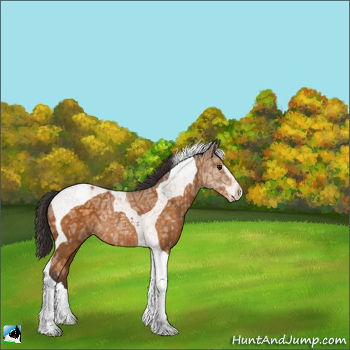 Horse Color:ERROR: UNKNOWN ANOMALY