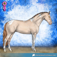 Horse Color:Gold Champagne Dun Tobiano 