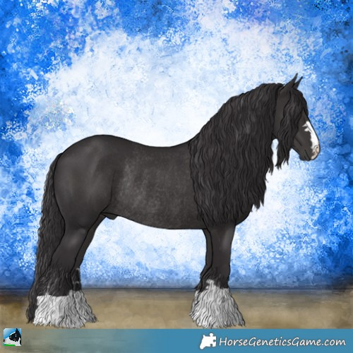 Horse Color:Smoky Black Mushroom Rabicano 