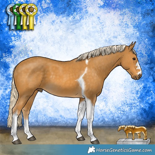 Horse Color:Palomino Tobiano 