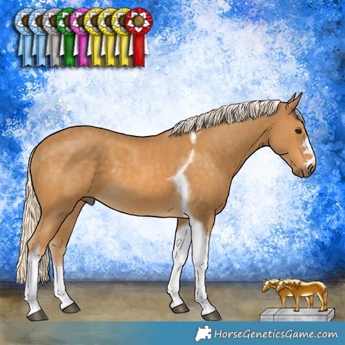 Horse Color:Palomino Tobiano 