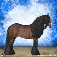 Horse Color:Brown Rabicano