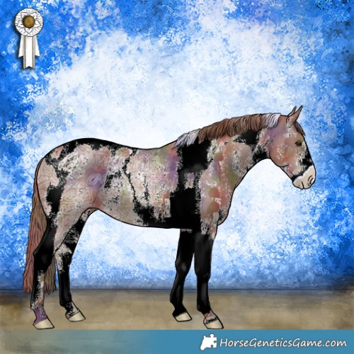 Horse Color:Nacre Chestnut Ice Sabino Tobiano Rabicano 