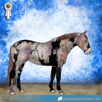 Horse Color:Nacre Chestnut Ice Sabino Tobiano Rabicano