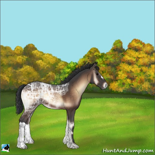 Horse Color:Brown Ice Onyx 