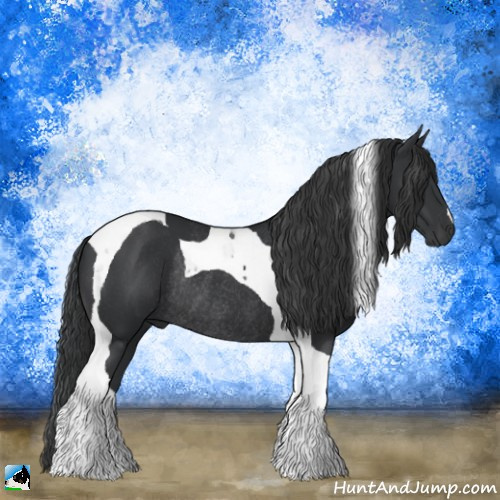 Horse Color:Black Tobiano Rabicano 