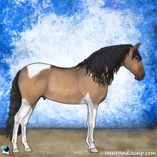 Horse Color:Bay Dun Tobiano Rabicano 