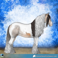 Horse Color:Buckskin Ice Mushroom Tobiano Rabicano