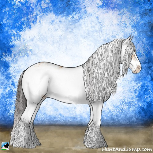 Horse Color:Buckskin Dun Sabino Rabicano 