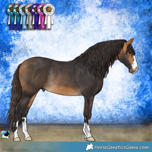Horse Color:Buckskin Rabicano 