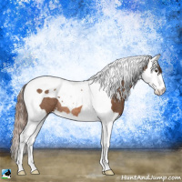 Horse Color:Chestnut Sabino Splash Tobiano Rabicano