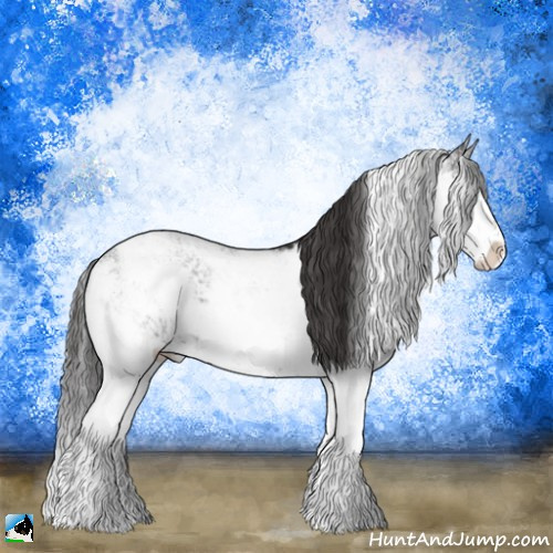 Horse Color:Smoky Black Ice Sabino Rabicano 