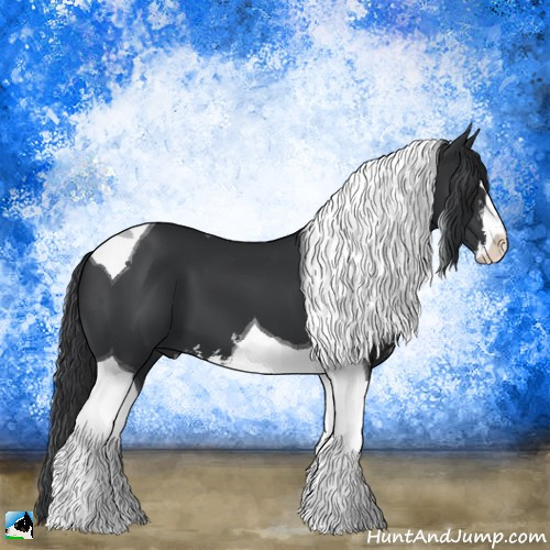 Horse Color:Black Mushroom Sabino Tobiano 
