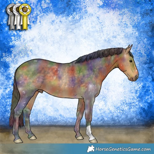 Horse Color:Nacre Buckskin 