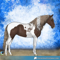 Horse Color:Liver Chestnut Tobiano