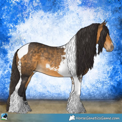 Horse Color:Buckskin Tobiano Rabicano