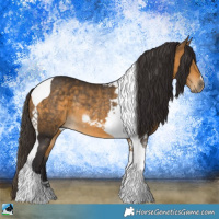 Horse Color:Buckskin Tobiano Rabicano